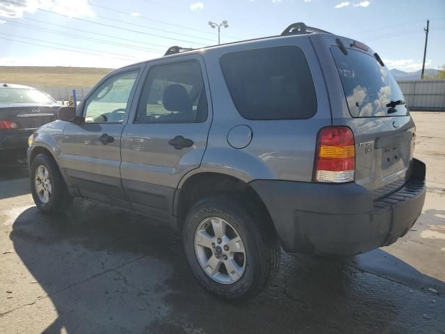 2007 Ford Escape XLT