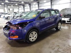 Salvage cars for sale at Ham Lake, MN auction: 2013 Ford Escape S