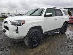 Salvage cars for sale at Eugene, OR auction: 2021 Toyota 4runner SR5/SR5 Premium