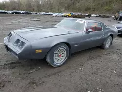 Salvage cars for sale at Marlboro, NY auction: 1981 Pontiac Firebird