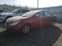 Salvage cars for sale from Copart York Haven, PA: 2012 Hyundai Sonata GLS