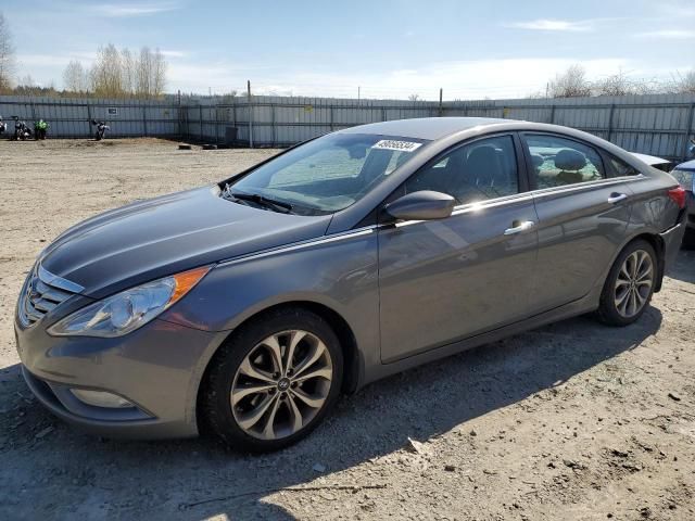 2013 Hyundai Sonata SE