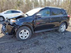 Salvage SUVs for sale at auction: 2015 Toyota Rav4 LE