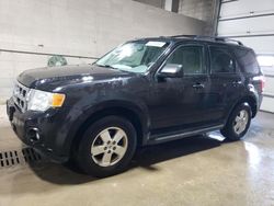 Ford Escape XLT salvage cars for sale: 2011 Ford Escape XLT