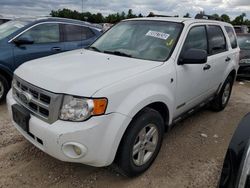 2008 Ford Escape HEV for sale in Houston, TX