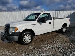 Ford salvage cars for sale: 2010 Ford F150