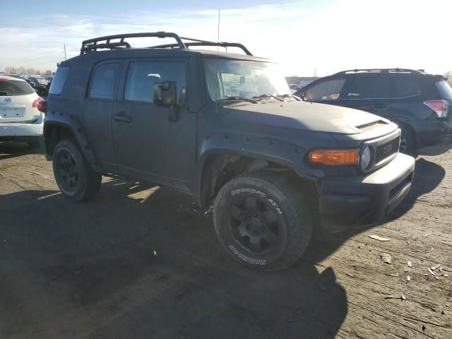 2007 Toyota FJ Cruiser