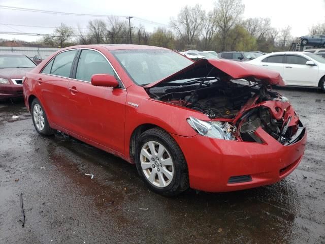 2009 Toyota Camry Hybrid