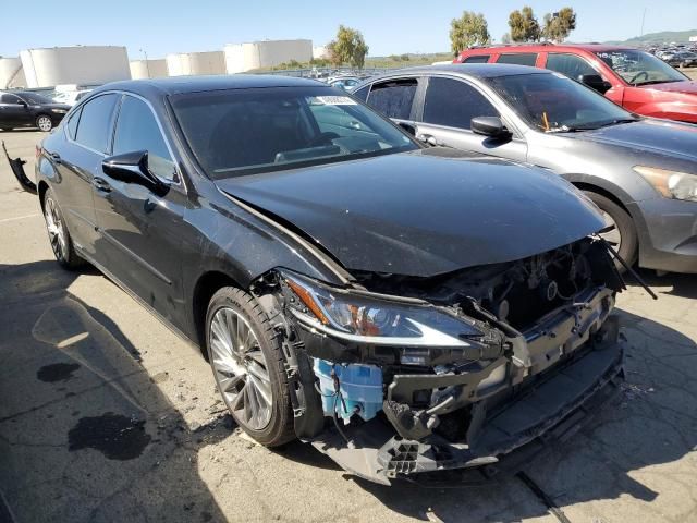 2019 Lexus ES 300H