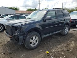 Salvage cars for sale at Columbus, OH auction: 2010 Ford Escape XLT