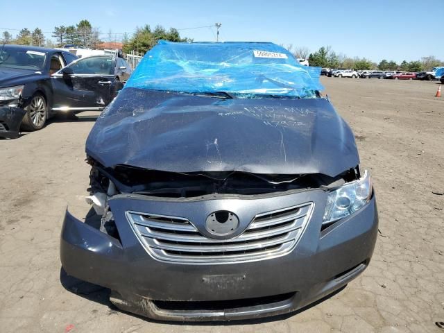 2009 Toyota Camry Hybrid