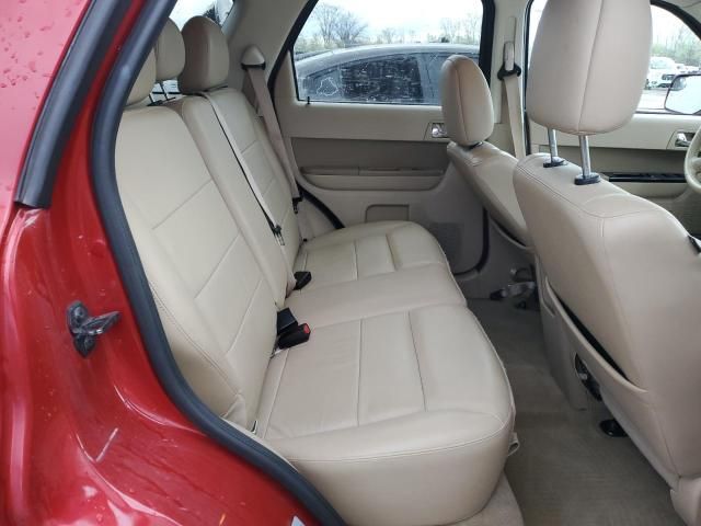 2010 Ford Escape Limited