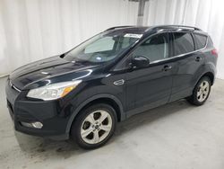 Salvage cars for sale at Shreveport, LA auction: 2016 Ford Escape SE