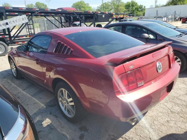 2006 Ford Mustang