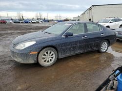 Salvage cars for sale at Rocky View County, AB auction: 2002 Lexus ES 300