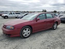 Chevrolet Impala salvage cars for sale: 2005 Chevrolet Impala SS