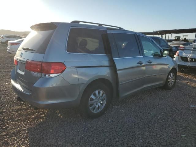 2010 Honda Odyssey EXL