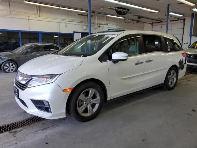 2019 Honda Odyssey EXL