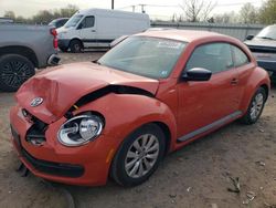 Salvage cars for sale at Hillsborough, NJ auction: 2016 Volkswagen Beetle 1.8T