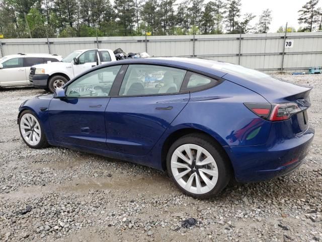 2021 Tesla Model 3