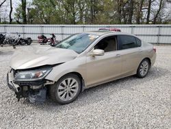 Honda Accord exl Vehiculos salvage en venta: 2014 Honda Accord EXL