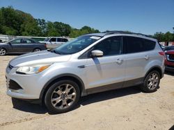 Salvage cars for sale at Theodore, AL auction: 2013 Ford Escape SEL