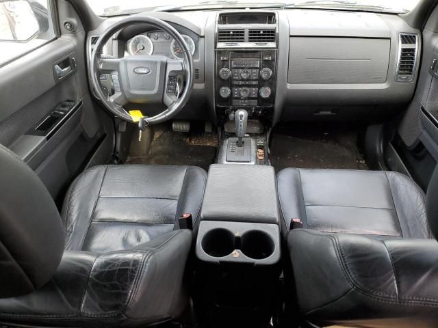 2009 Ford Escape XLT