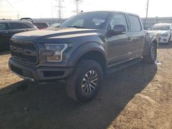 Salvage cars for sale at Elgin, IL auction: 2019 Ford F150 Raptor
