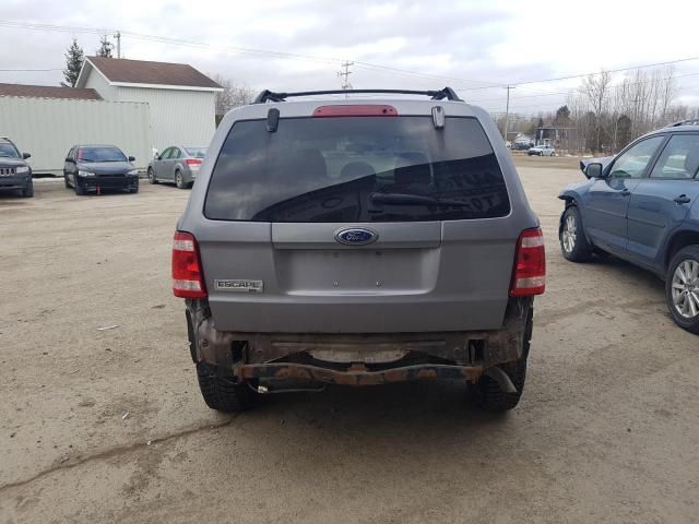 2008 Ford Escape XLT