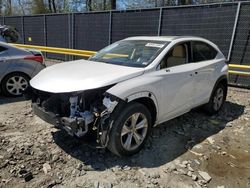 Salvage cars for sale from Copart Waldorf, MD: 2017 Lexus NX 200T Base