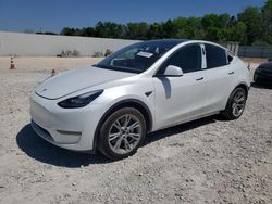 Salvage cars for sale at New Braunfels, TX auction: 2023 Tesla Model Y
