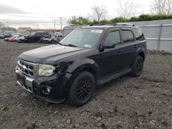 Salvage cars for sale from Copart Marlboro, NY: 2012 Ford Escape Limited