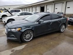 Salvage cars for sale at Louisville, KY auction: 2015 Ford Fusion SE