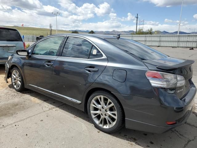 2010 Lexus HS 250H