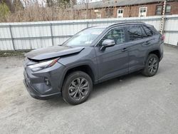 Salvage cars for sale from Copart Albany, NY: 2024 Toyota Rav4 XLE Premium