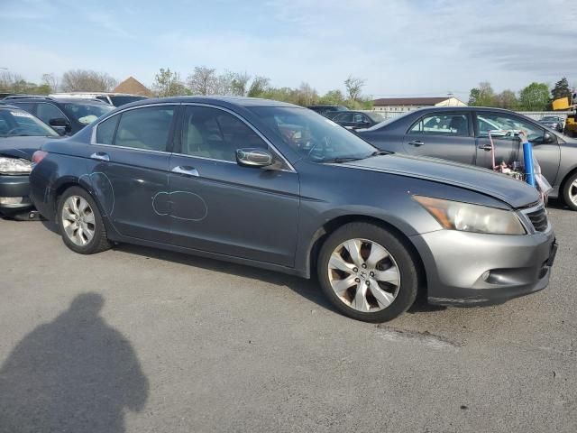 2010 Honda Accord EXL