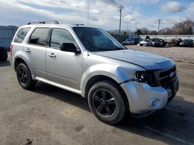 2011 Ford Escape XLT