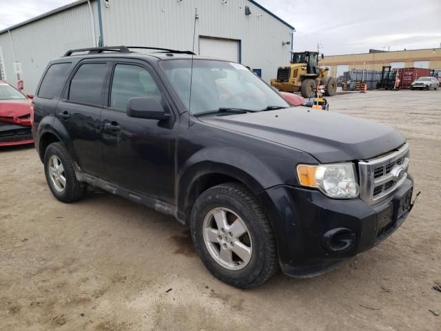 2011 Ford Escape XLT