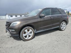 Mercedes-Benz m-Class Vehiculos salvage en venta: 2013 Mercedes-Benz ML 350 Bluetec