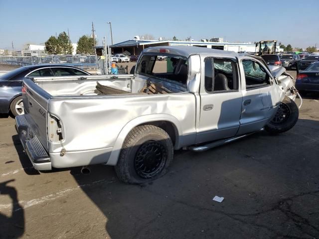 2001 Dodge Dakota Quattro