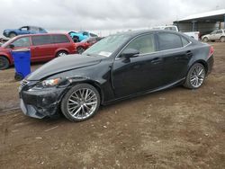 Salvage cars for sale at Brighton, CO auction: 2014 Lexus IS 250