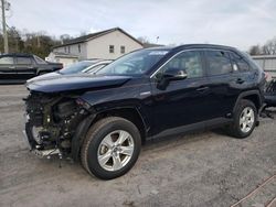 Salvage cars for sale at York Haven, PA auction: 2020 Toyota Rav4 XLE