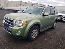 Ford Escape Hybrid salvage cars for sale: 2009 Ford Escape Hybrid