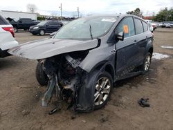 Salvage cars for sale at New Britain, CT auction: 2013 Ford Escape SEL