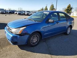 Ford Focus salvage cars for sale: 2011 Ford Focus SE