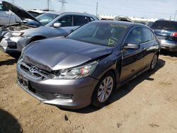 Salvage cars for sale from Copart Elgin, IL: 2013 Honda Accord EXL