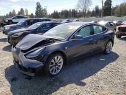 Salvage cars for sale at Graham, WA auction: 2019 Tesla Model 3