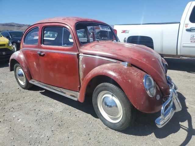 1964 Volkswagen Beetle