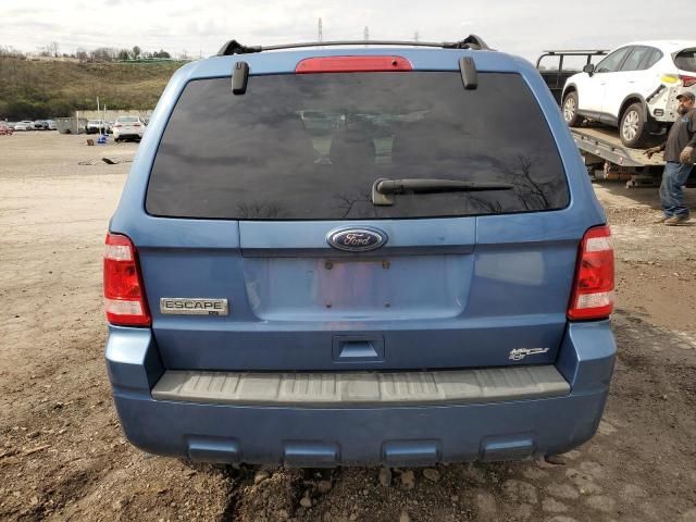 2010 Ford Escape XLT