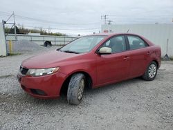 Salvage cars for sale at Albany, NY auction: 2010 KIA Forte EX